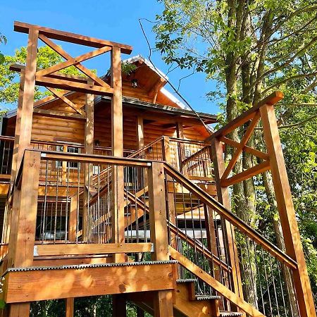 Cricket Hill Treehouse By Amish Country Lodging Миллерсберг Экстерьер фото