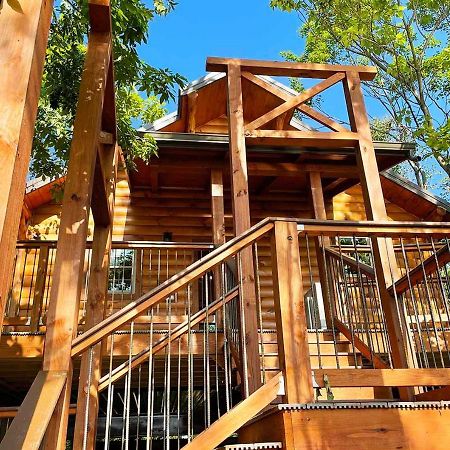 Cricket Hill Treehouse By Amish Country Lodging Миллерсберг Экстерьер фото